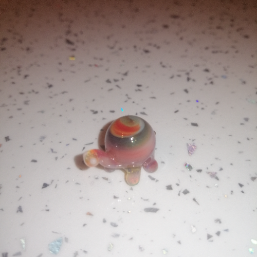 Colourful Mini Tortoise